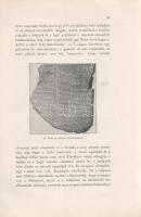 Delitzsch, [Friedrich] Frigyes: 
Babylonia és Biblia. Delitzsch Frigyes előadása. Az új és átnézett...