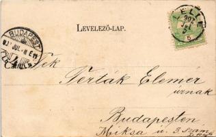 1902 Balatonlelle, Lelle; Faludi villa (fl)