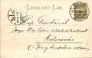 1905 Déva, Népkert. Hirsch Ad. kiadása / park (fl)