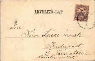 1900 Felsőderna, Derna (Bihar, Bihor); aszfalt gyártelep. Sonnenfeld Adolf kiadása / factory (fa)