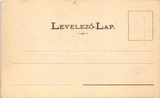 Tótosbánya, Totos (Budfalva, Budesti, Máramaros); Aranybánya, zúzda, lovas hintó. Berger Miksa kiadá...