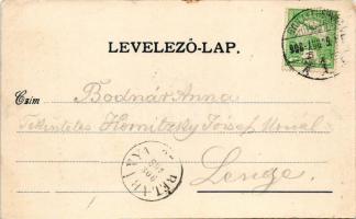 1908 Zalatna, Zlatna; Piac tér, templomok. Nagy Árpád kiadása / square, churches