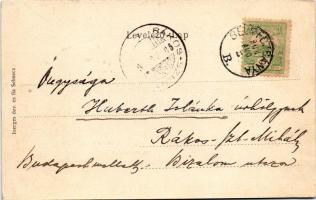 1902 Selmecbánya, Banská Stiavnica; Rózsa szálló a Felső Rónán. Joerges özv. és fia kiadása, szecess...