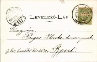 1905 Udvard, Dvory nad Zitavou; Római katolikus templom / church