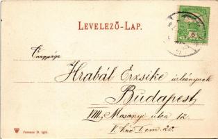 1907 Igló, Zipser Neudorf, Spisská Nová Ves; Honvéd síremlék / military tomb, monument