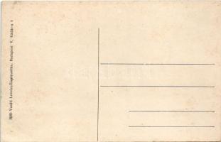 Homonna, Homenau, Humenné; Fő utca, Oroszlán szálloda, bor és sörcsarnok, Hossza Gyula dohány és szi...