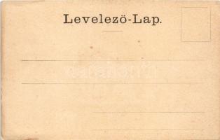 Pozsony, Pressburg, Bratislava; Hal tér. Carl Otto Hayd kiadása / Fischplatz / square