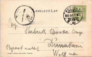 1905 Pozsony, Pressburg, Bratislava; ingahajó a Dunán, Mária Terézia szobor, Frigyes palota, Mihály ...