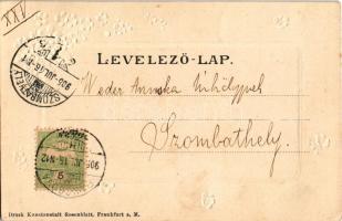 1905 Pancsova, Pancevo; Népbank. Wittigschlager C. kiadása / Bank. Art Nouveau, floral, litho (EK)