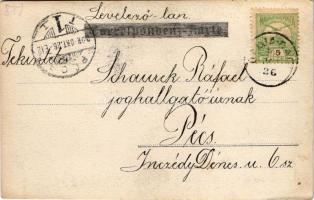 1902 Almás, Mária Almás, Aljmas, Apfeldorf (Erdőd, Erdut); iskola (?) / school (?). photo (EK)