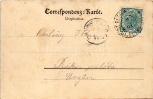 1901 Pivka, St. Petra na Krasu, San Pietro del Carso, St. Peter in Krain; (fl)