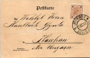 1899 (Vorläufer) Sylvester Bräu. Collection Chic No. 171., Ledermann Jr., Phot. Ch. Scolik / Szilves...