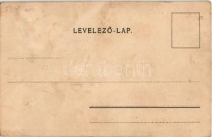 Faragó Géza "Erkölcseink" képeslap sorozat 9. Az állatvédő mama - A gyermekvédő állat. Pos...