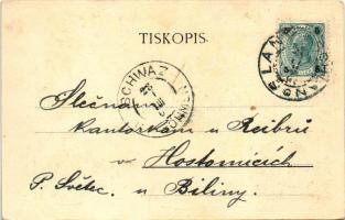 Slany, Schlan; Radnice, Celkovy Pohled, Gymnasium, Klaster, Divaldo. Nákladem Frant Kobese / town ha...