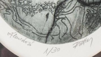 Olvashatatlan jelzéssel: Álmodozó (női akt). Rézkarc, papír. Számozott (1/30). 12x10 cm. Üvegezett f...