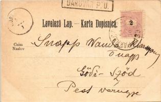 1899 (Vorläufer) Daruvár, Daruvar, Daruwar; Kupalistno svratise, Grad Antuna pl. Tükory. F. Cimic / ...