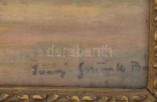 Iványi-Grünwald jelzéssel: Balaton. Olaj, karton. Üvegezett, sérült fakeretben. 25x31 cm