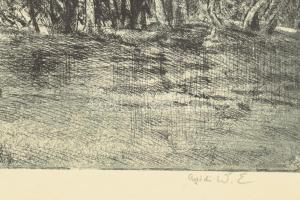 Aszódi Weil Erzsébet (1901-1976): Duna fái. Rézkarc, papír, jelzett, kartonra kasírozva, 29×40 cm