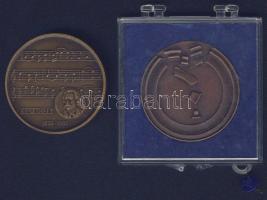 1979-1980. "MÉE"+"1879-es árvíz" összesen  2 db Br emlékérem T:2