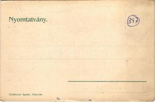 Stájerlak, Steierlak, Stájerlakanina, Steierdorf, Anina; Bozovicsi út, Koronini-forrás, vízesés. Sch...