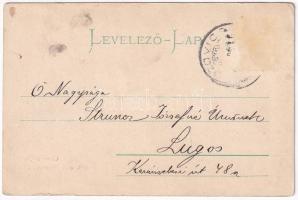 1905 Bozovics, Bozovici; Coronini Quelle / Koronini forrás, kirándulók / mineral water spring, hiker...