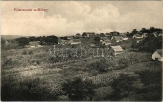 Pélmonostor, Baranyamonostor, Beli Manastir; szőlőhegy / vineyards