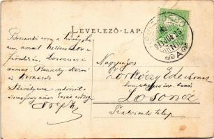 1911 Hévíz, rét juhásszal és nyájjal. Mérei Ignácz kiadása 160. sz. (fa)