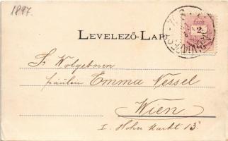 1899 (Vorläufer) Kassa, Kosice; Fő utca, Adriányi üzlete, piac. Vitéz A. kiadása / main street, shop...