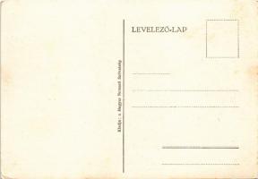 Mindent vissza! Kiadja Magyar Nemzeti Szövetség / Hungarian irredenta propaganda art postcard, Treat...