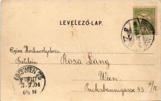 1901 Pozsony, Pressburg, Bratislava; Városi színház. Divald Károly 443. sz. / Städt. Theater / theat...