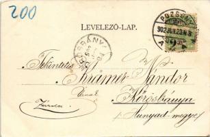 1902 Pozsony, Pressburg, Bratislava; Frigyes főherceg utca, villamos, Tafelmayer és Weischek szikvíz...