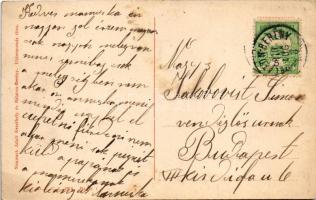 1910 Balatonberény, Szúnyog gödör. Neumark Adolf kiadása (fl)