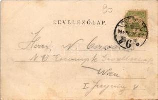 1903 Budapest XII. Svábhegyi fogaskerekű vasútállomás, vonat, gőzmozdony. Divald Károly kiadása (fl)