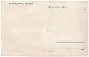 Temesvár, Timisoara; Neumann József fűszer és csemege üzlete / Neumann' shop (ázott / wet damag...