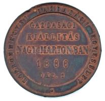 1886. "Elismerés az érdemnek / Sopron Megyei Gazdasági Egyesület - Gazdasági Kiállítás Nagymart...