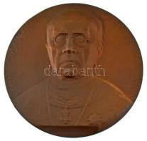 Beck Ötvös Fülöp (1873-1945) 1907. Samassa József egri érsek kétoldalas bronz emlékérem. IOSEPHVS CARDINALS SAMASSA ARCHIEPISCOPVS AGRIENSIS (56mm) T:AU small ph., kis karc / Hungary 1907. Archbishop Samassa from Eger double-sided commemorative bronze medallion. Sign.: Fülöp Beck Ötvös (56mm) C:AU small edge error, small scratch HP 863.