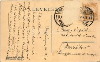 1915 Nagybánya, Baia Mare; Erdélyi út. Kovács Gyula kiadása / street (Rb)