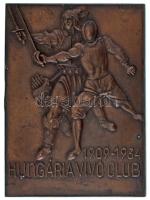 1934. "Hungária Vívó Club 1909-1934" bronz emlékplakett. Szign.: GEBHARDT - FAHN (45x60mm) T:XF nagyobb ph.