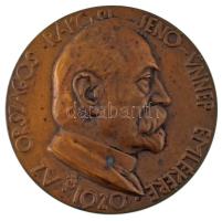 Beck Ö. Fülöp (1873-1945) 1920. "Az Országos Rákosi Jenő-ünnep emlékére" egyoldalas bronz emlékérem (65mm)T:AU kis patina  HP.: 917.