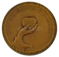 Berán Lajos (1882-1943) 1936. "Kálvin Institúciójának 400 éves emlékezetére - Magyar Reformátusok" bronz emlékérem (41mm) T:AU