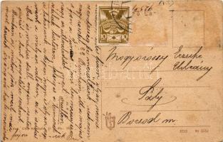 Koháryháza, Pohorella, Pohorelá; Parki villa a vasgyárban. Uthy felvétele / villa in the iron works ...