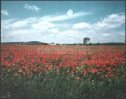 Tomori Ede (1920-1997): Pécs, Párizs, Moszkva. 5 db vintage fotóművészeti alkotás, felirat nélkül, a...