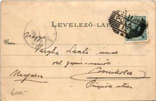 1900 Szigetvár, Várrom, Zrínyi halála és szobra, Biedermann utca. Corvin könyvnyomda kiadása. Art No...