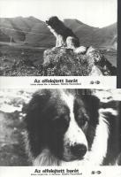 cca 1989 előtt készült, ,,Az elfelejtett barát" című szovjet film jelenetei és szereplői, 5 db ...