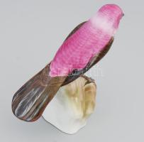 Herendi madár. Jelzett, kézzel festett, hibátlan, certifikáttal, dobozában, m: 14,5 cm