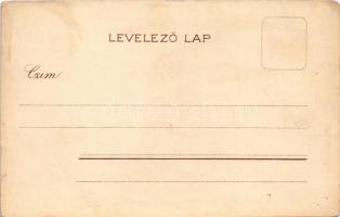 Választási emlék 1901-ből. Száz kortes egy sorba, zászlót lobogtatva... Mi kell a magyarnak? / Hunga...