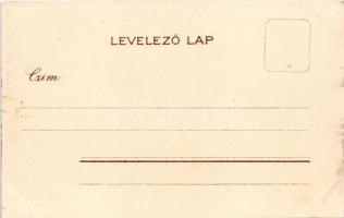 Választási emlék 1901-ből. Száz polgár egy sorba. Megy a választásra... / Hungarian elections memori...