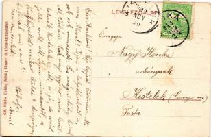 1913 Csóka, Coka (Torontál); Szerb templom és paplak, Cziklay Mihály üzlet belső és saját kiadása / ...