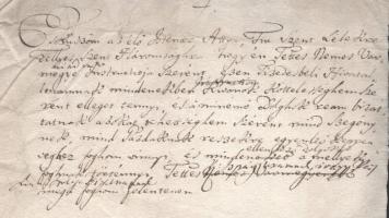 Kb 18. század. 
Vármegyei tizedes hivatali esküje