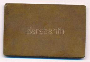 1929. "Magyar Országos Céllövő Szövetség" egyoldalas bronz plakett. Szign.: Berán Lajos (1...